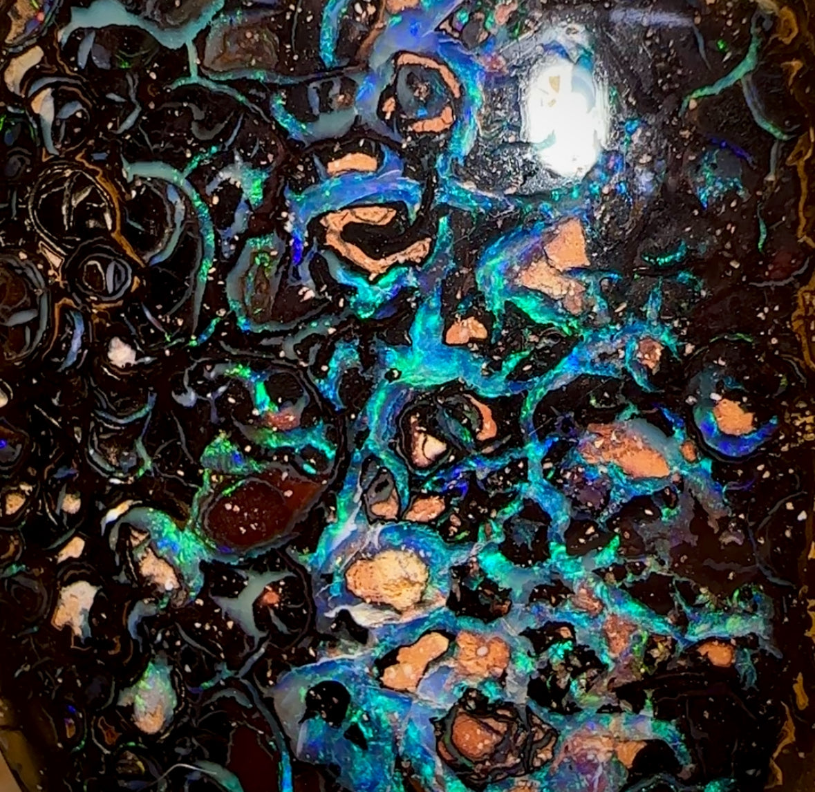 171.4cts - ‘Outback Oasis 2’ Top GEM Tribal Queensland Boulder Opal