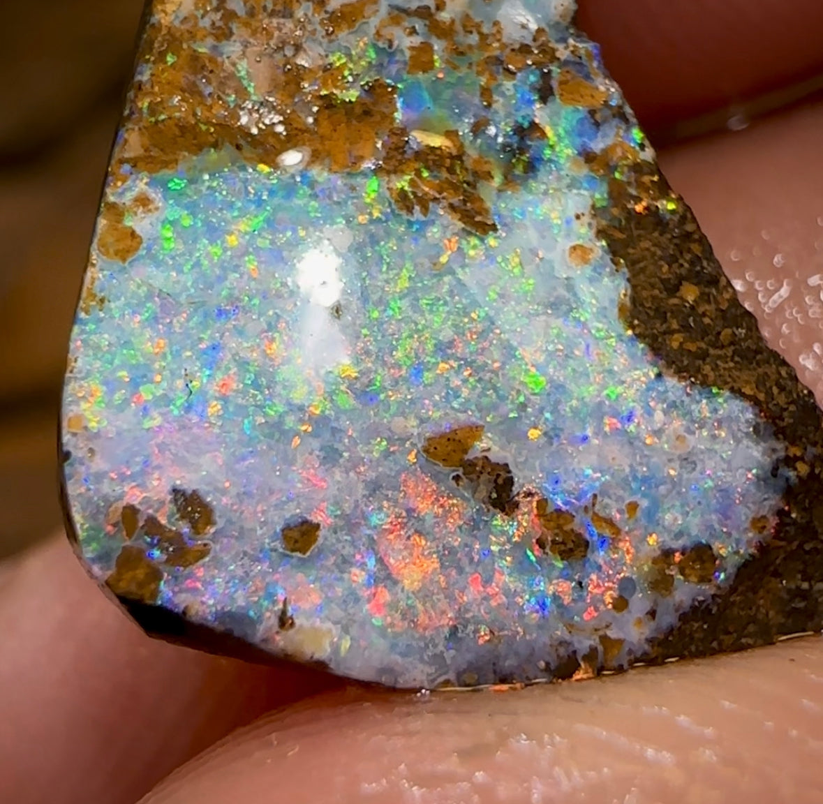9.6cts - Australian Boulder Opal Quality Rough Preform. Natural Split - Opal Whisperers