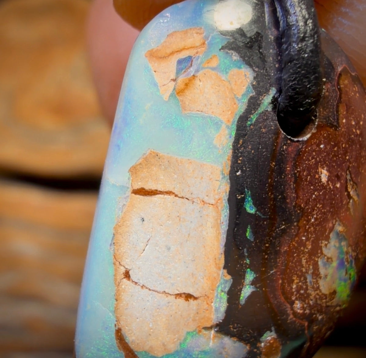 23 x 15mm - Drilled Queensland Boulder Opal Necklace