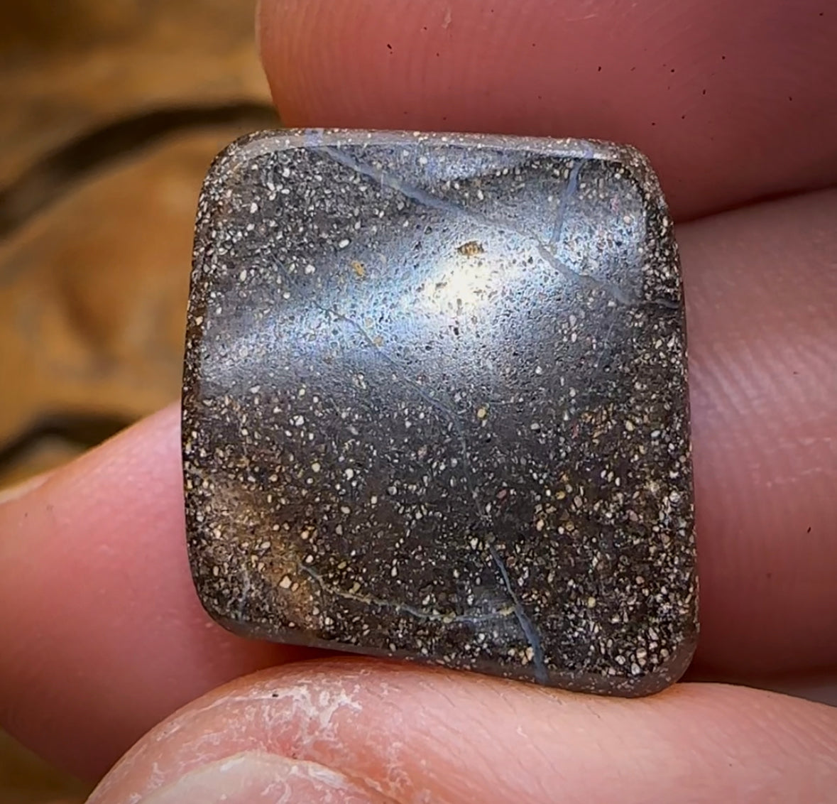 21.1cts - Queensland Boulder Seam Opal - Opal Whisperers