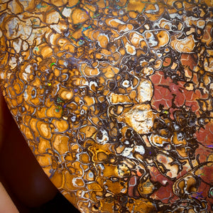 2082cts - HUGE Tribal Australian Boulder Opal Polished Specimen