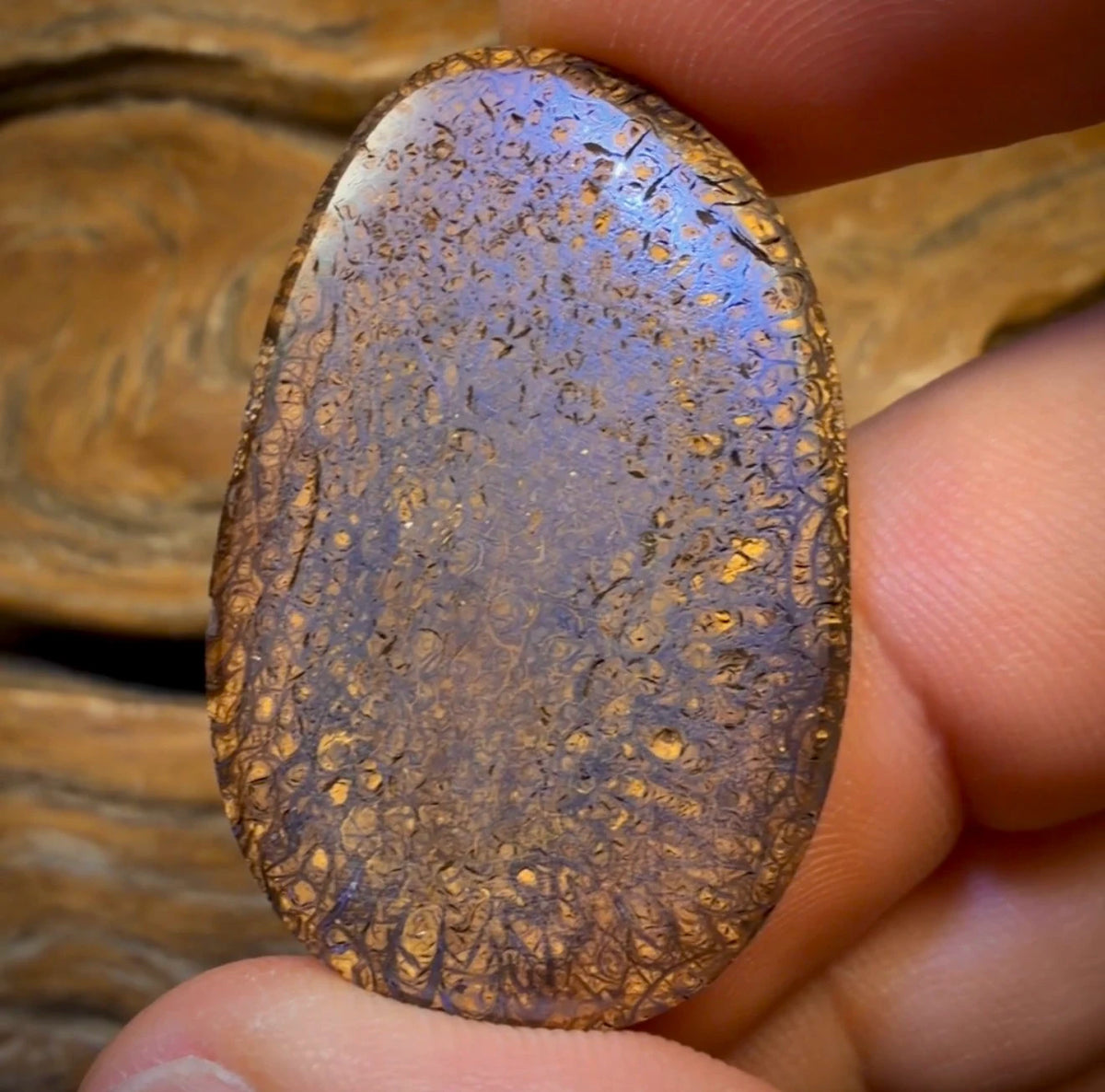 Wildcard! 78.5cts - Tribal Australian Boulder Opal from Yowah