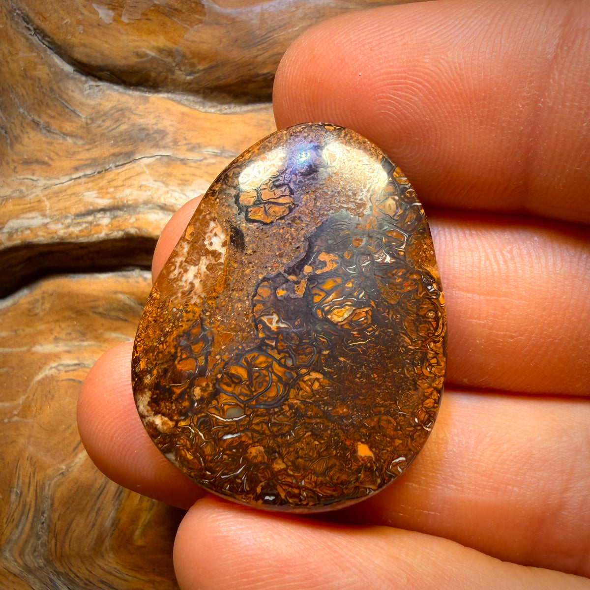 66.7cts - Yowah Nut Crystal Centre Opal. Australian Boulder Opal