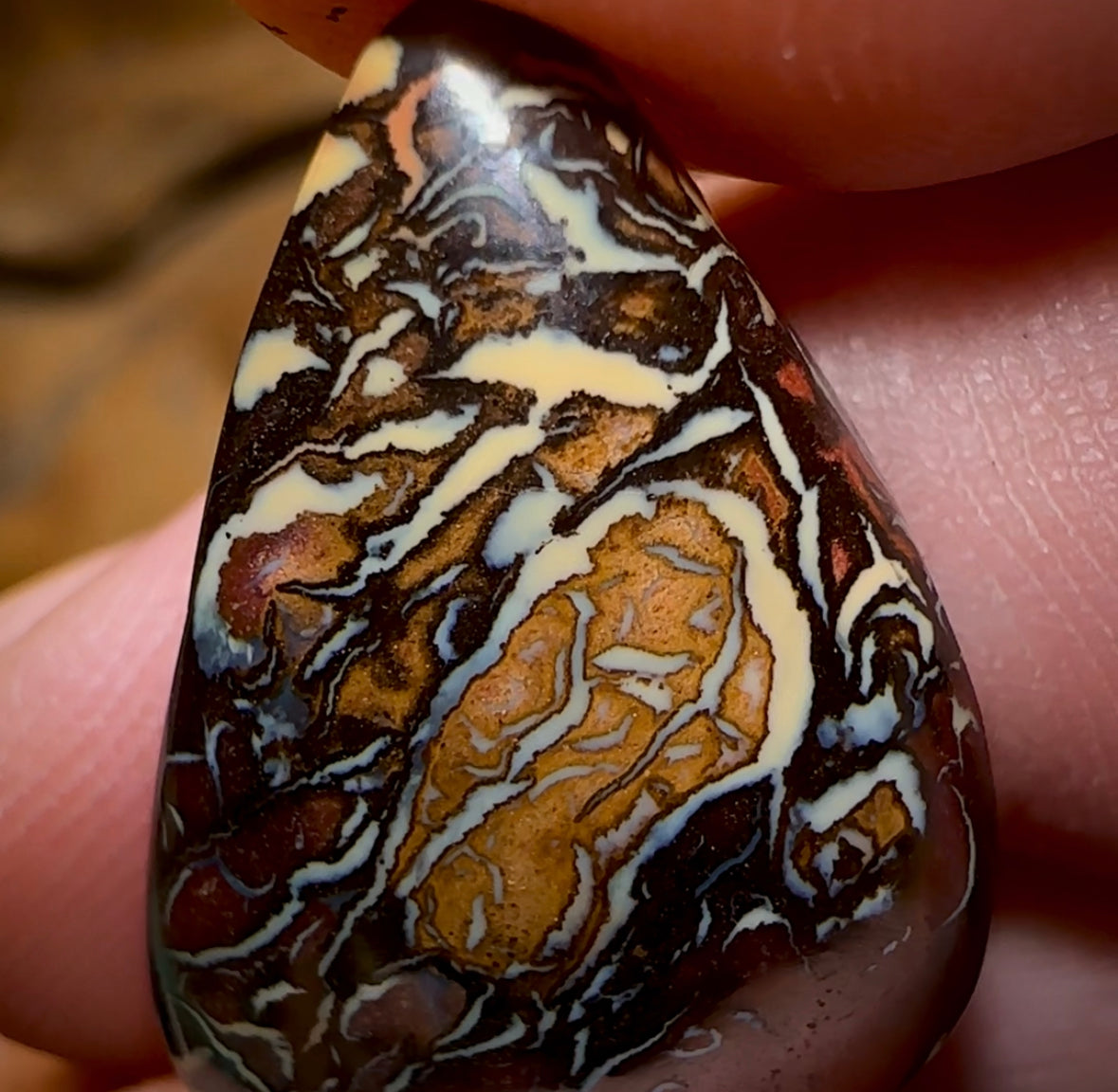 19.3cts - Top Tribal Pattern Koroit Nut Opal - Opal Whisperers