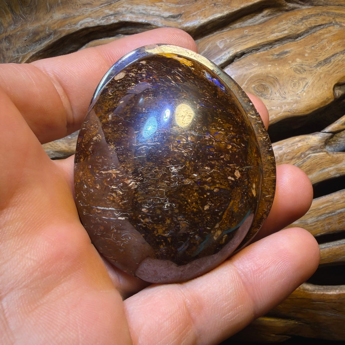 Opalfest Wildcard! 716.4cts - Rare Yowah Nut Crystal Centre Opal Specimen Pair. Polished