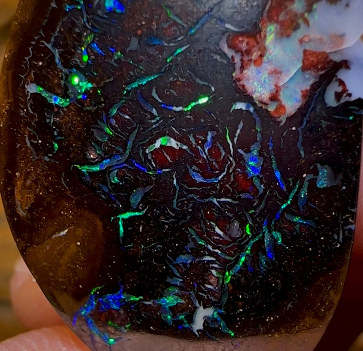 38.8cts - Tribal Queensland Boulder Opal from Koroit