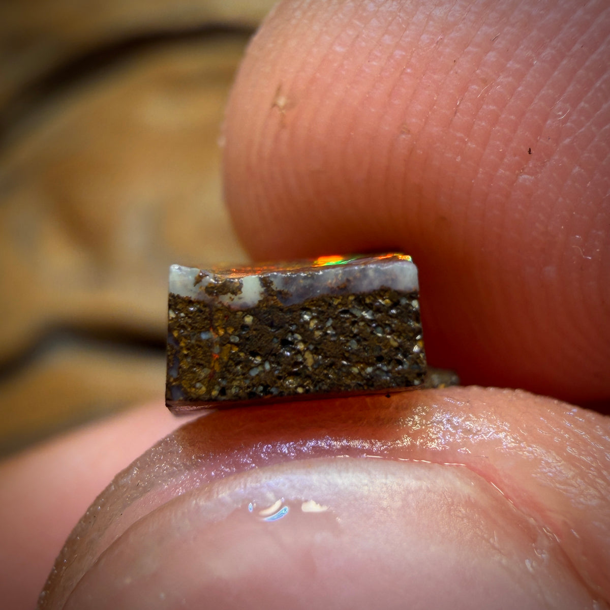 2.6cts - Queensland Boulder Seam Opal Rough Preform