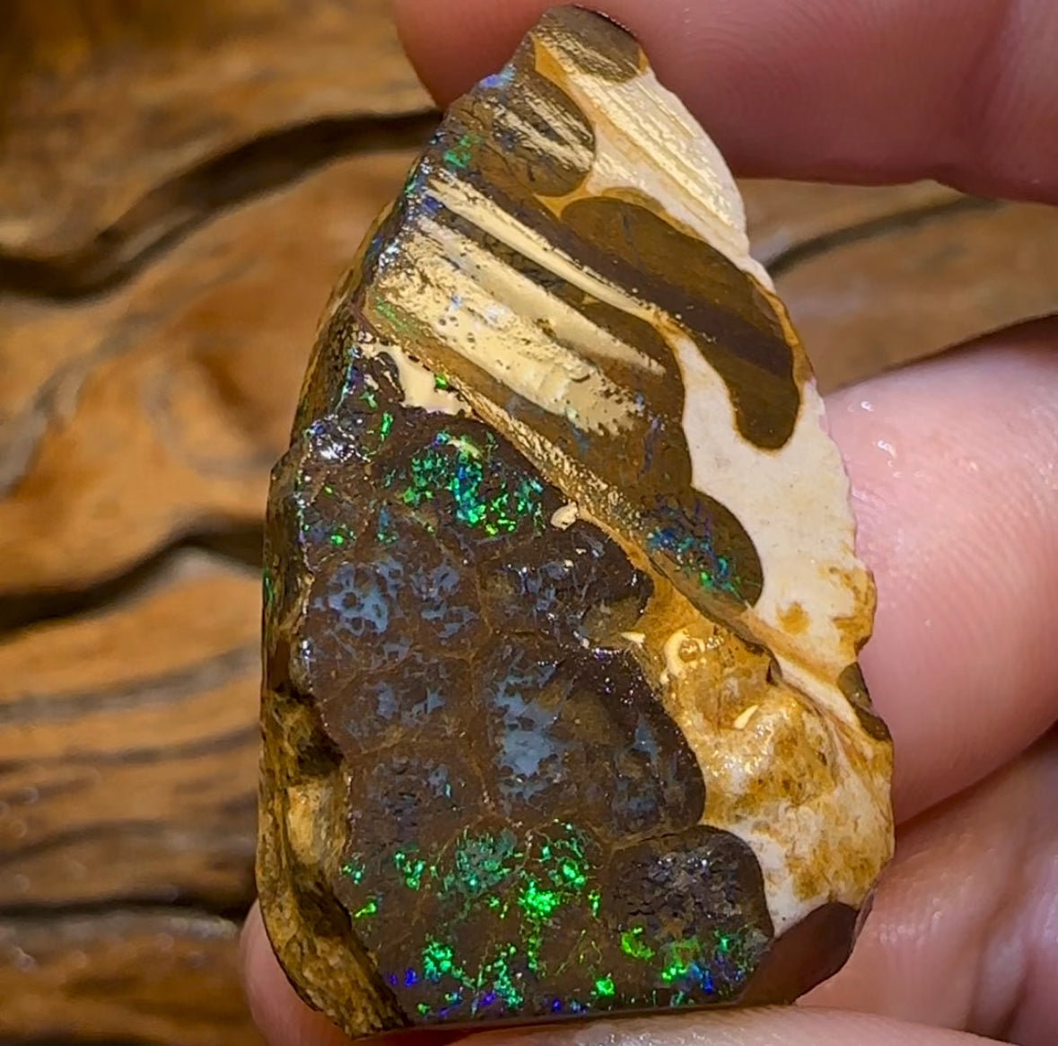 (Template) 93cts - Australian Boulder Opal Rough Piece. Bubble Band - Opal Whisperers