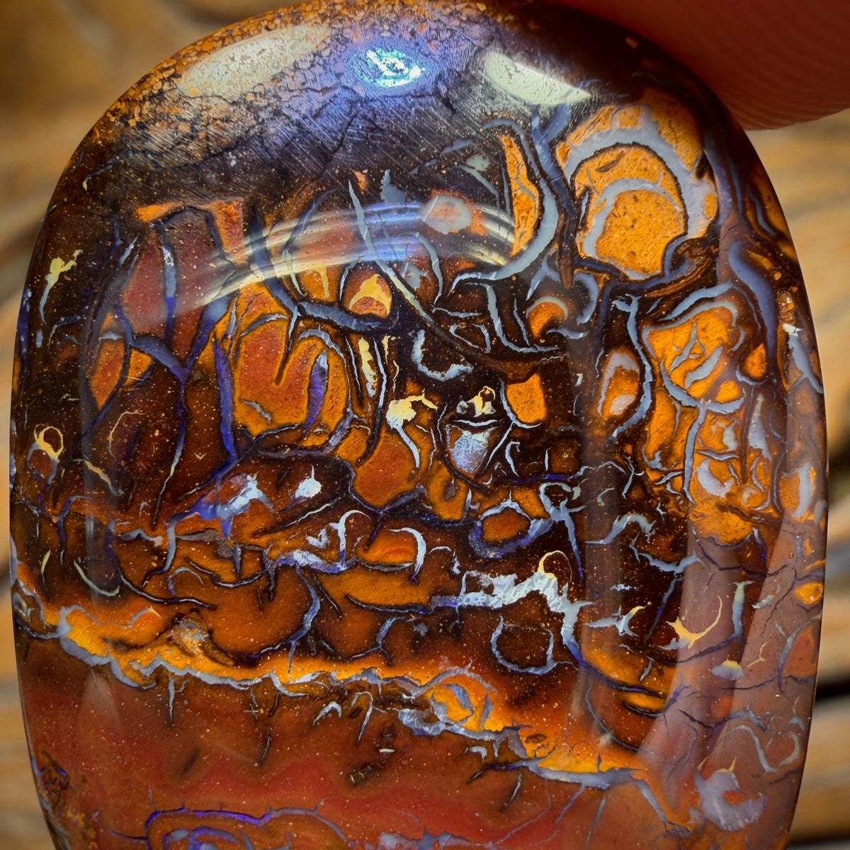 70.5cts - Tribal Queensland Boulder Opal from Yowah