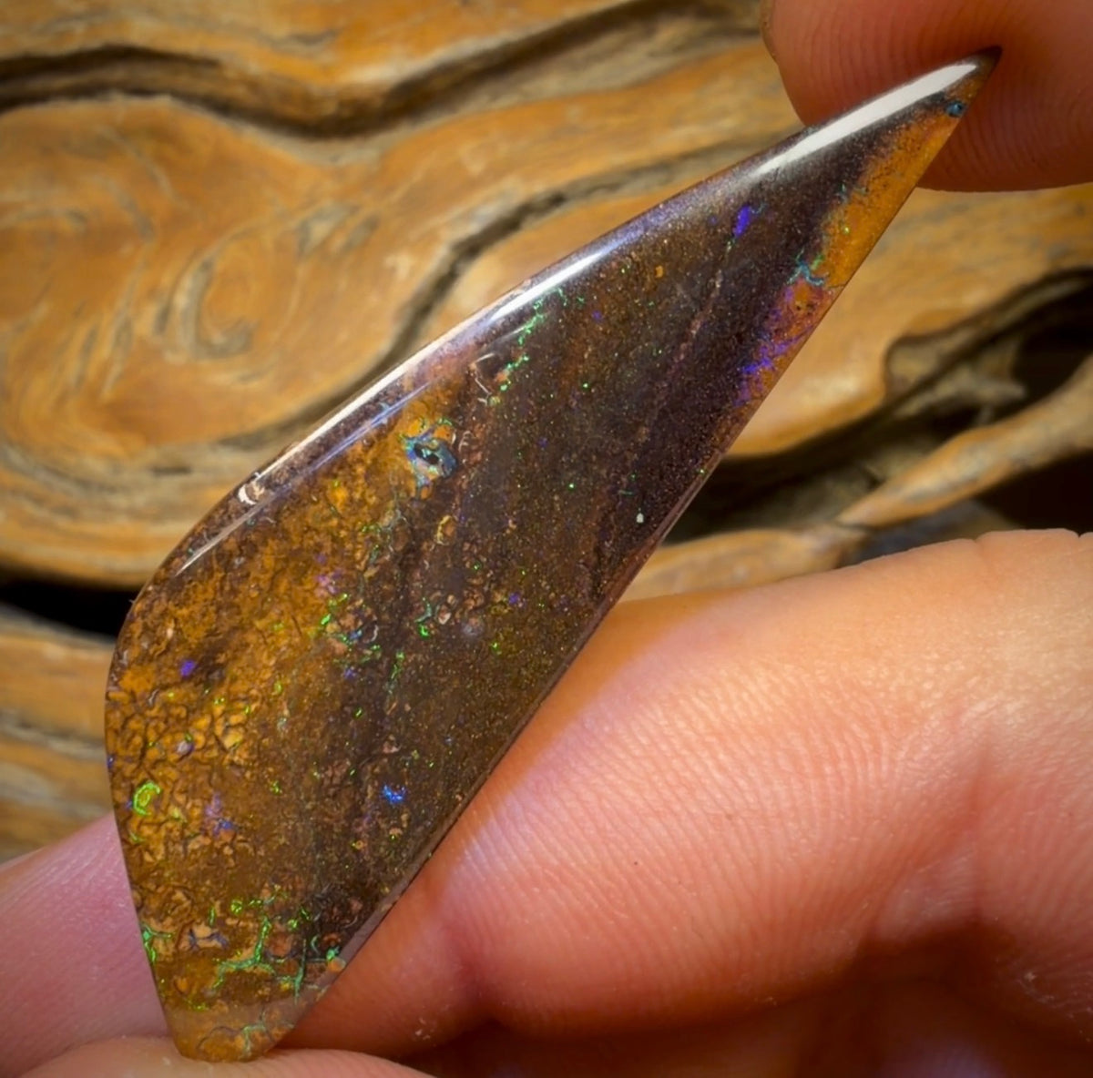 33.3cts - Tan Tribal Yowah Nut Australian Opal. Great Sail Cut