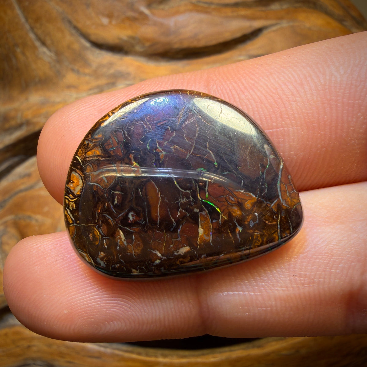 41.4cts - Tribal Koroit Nut Opal. Australian Opal
