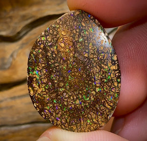 49.7cts - Australian Boulder Opal. Yowah Tribal