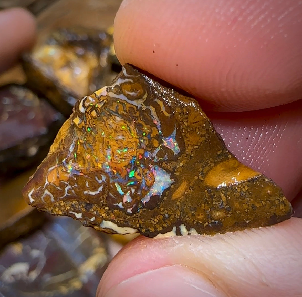317.9g - 15x Yowah Nut Rough Pieces. Tribal and Crystal Centres Australian Opal - Opal Whisperers
