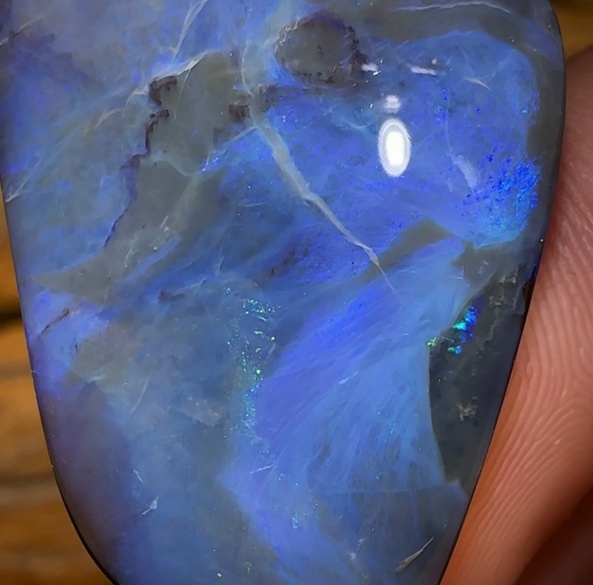 44.4cts - Queensland Boulder Black Opal from Winton - Opal Whisperers