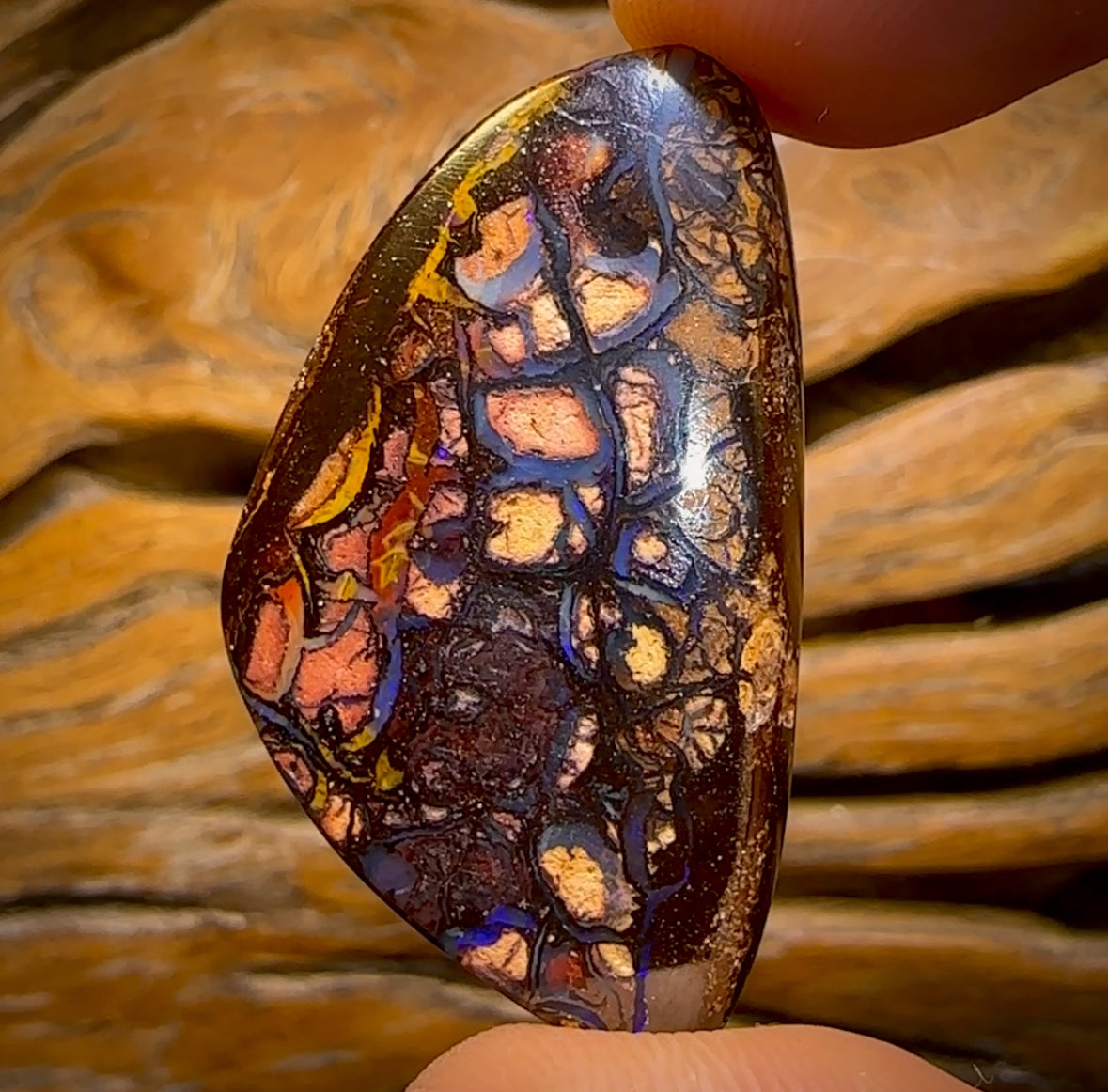 63.3cts - Tribal Queensland Boulder Opal from Yowah Double Sided