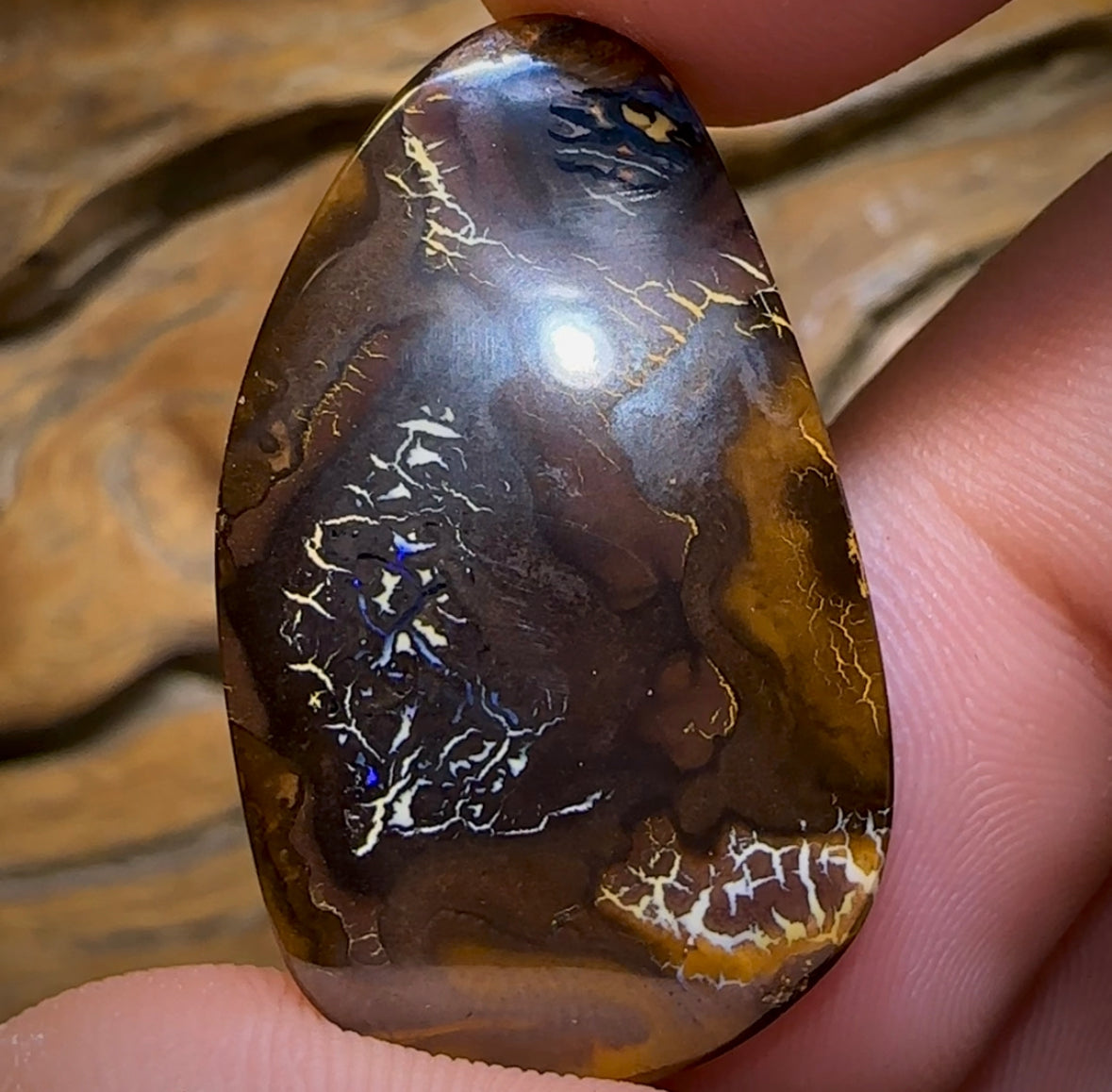 48.3cts - “Tribal Dance”Koroit Nut Tribal Opal. Australian Opal - Opal Whisperers