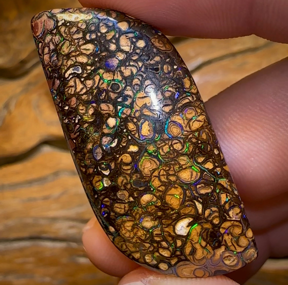66.2cts - Yowah Nut Tribal Opal - Opal Whisperers