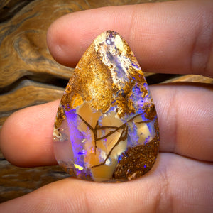31.6cts - Top Australian Boulder Pipe Opal Picture Stone from Yowah