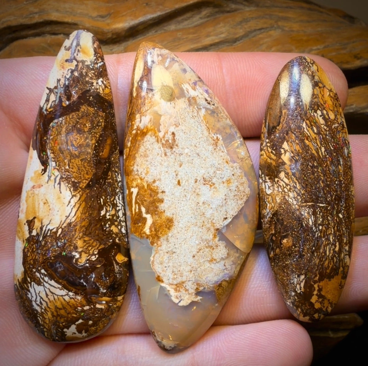 201.1cts - 3x Yowah Nut Opal’s. Wholesale Dealers Parcel less than $1/ct