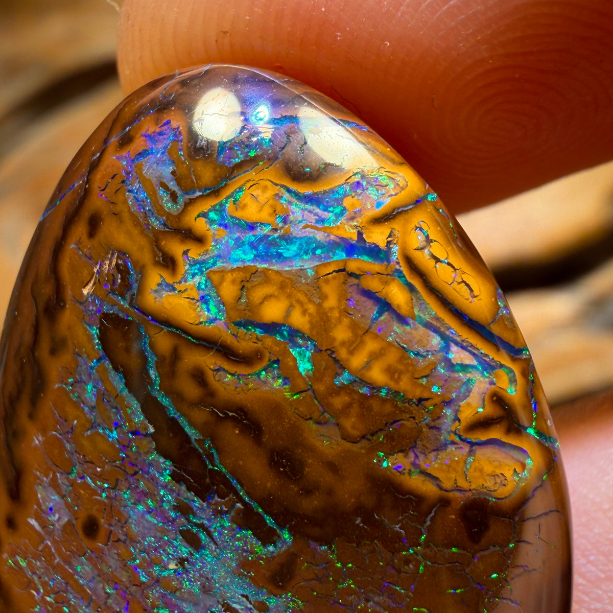 61.2cts - Top Queensland Boulder Opal from Yowah