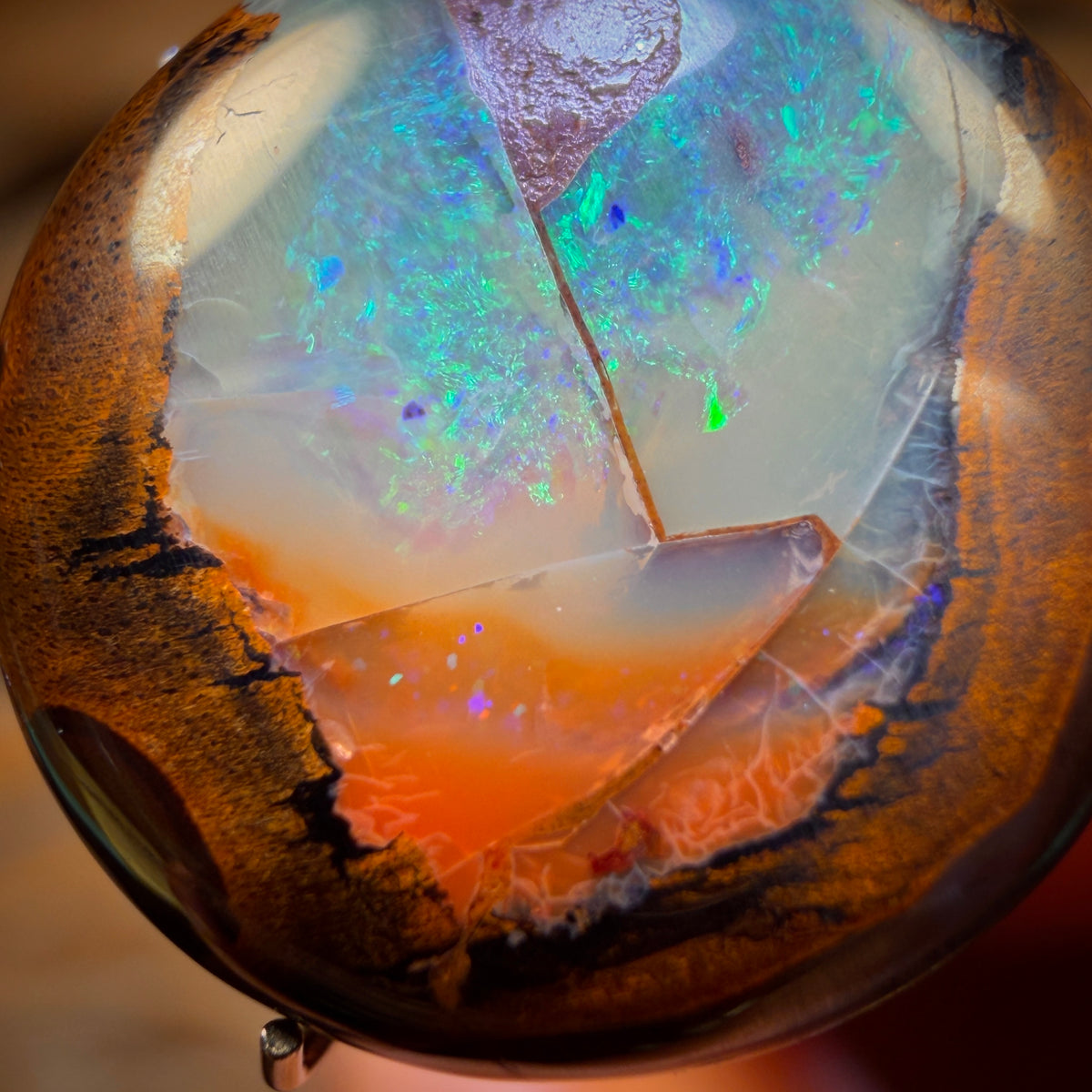 🔨 AUCTION 🔨 Reserve 💎 High Roller Banger Auction 💎 7.8cts - Yowah Nut Kernel Opal. Australian Boulder Opal