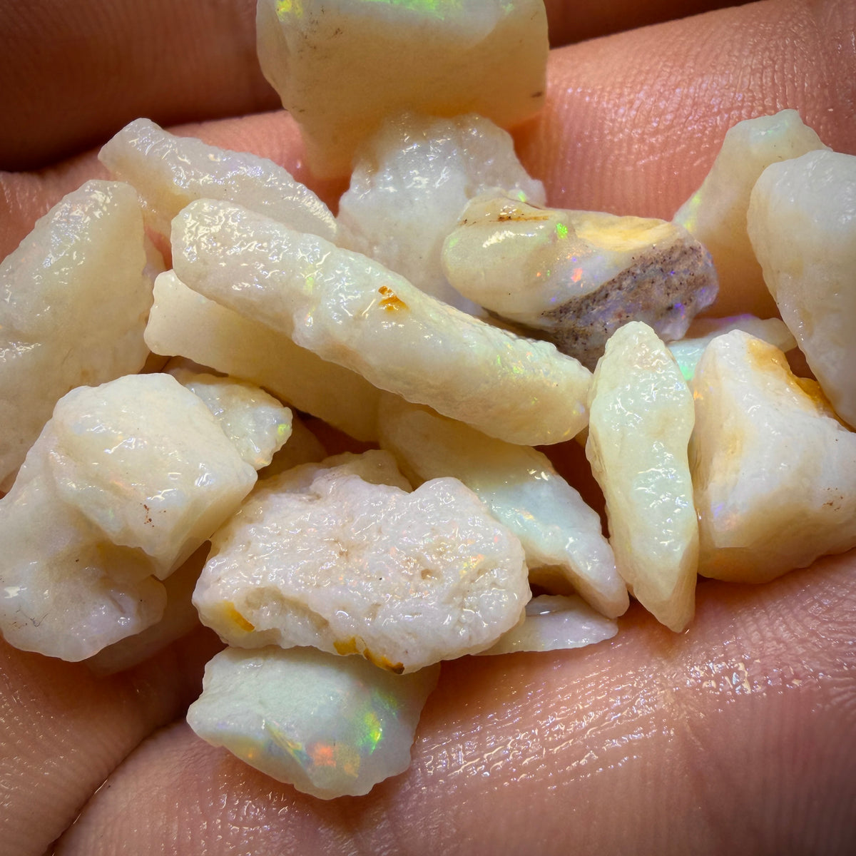 🔨 AUCTION 🔨 91.6cts - 20x South Australian White Opal Rough Parcel