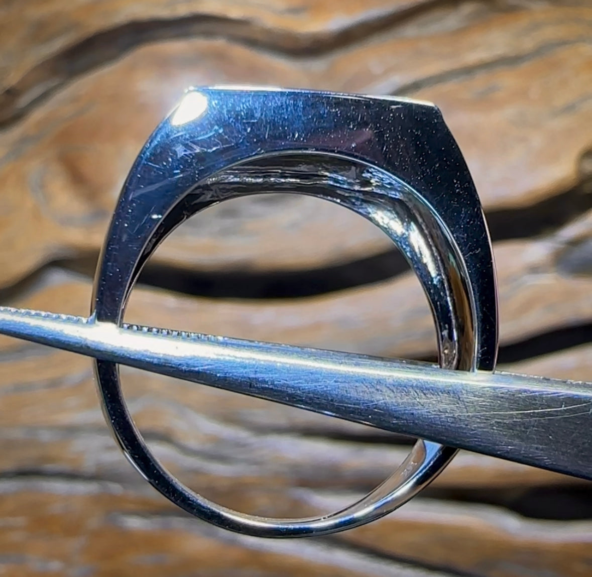 14k White Gold - Queensland Boulder Opal Doublet Ring - Opal Whisperers