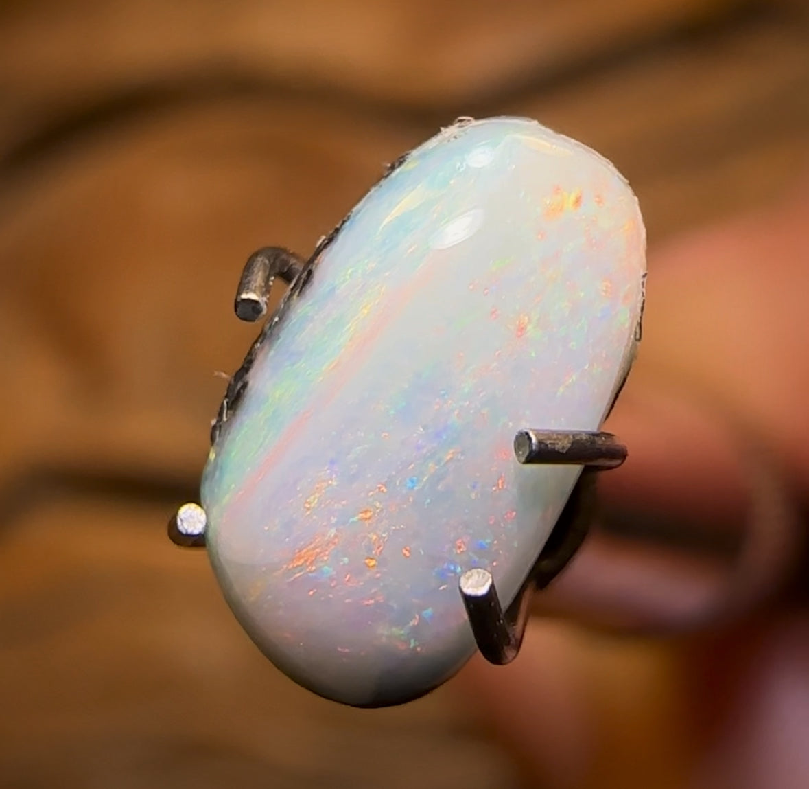Auction Fall-Through = Your Gain! 🔥 Now More Than 50% Off RRP 🚨 1.02cts - Solid Australian Boulder Pipe Opal