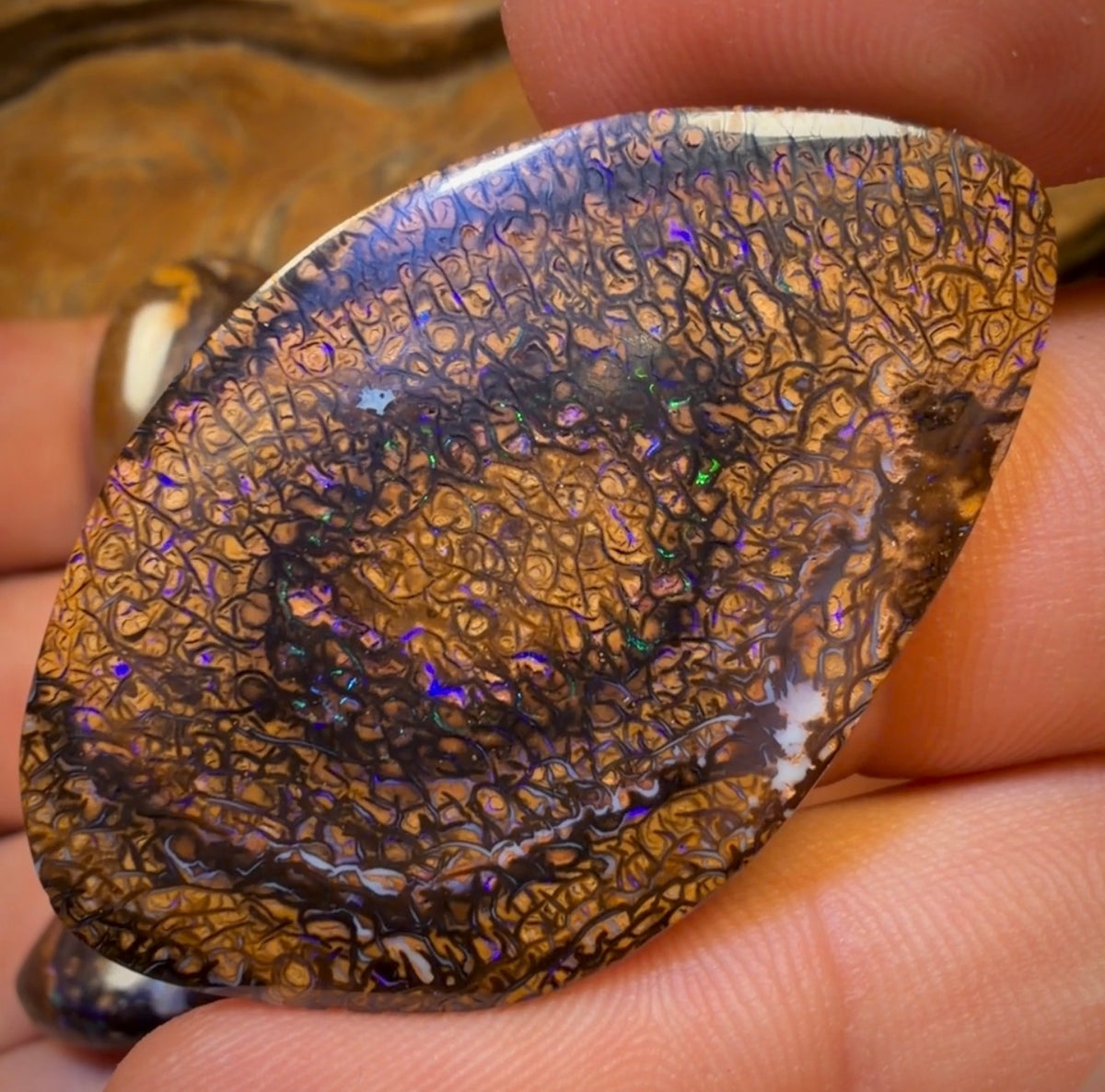 🔒 174.7cts - 5x Australian Tribal Boulder Opal’s. Wholesale Dealers Parcel