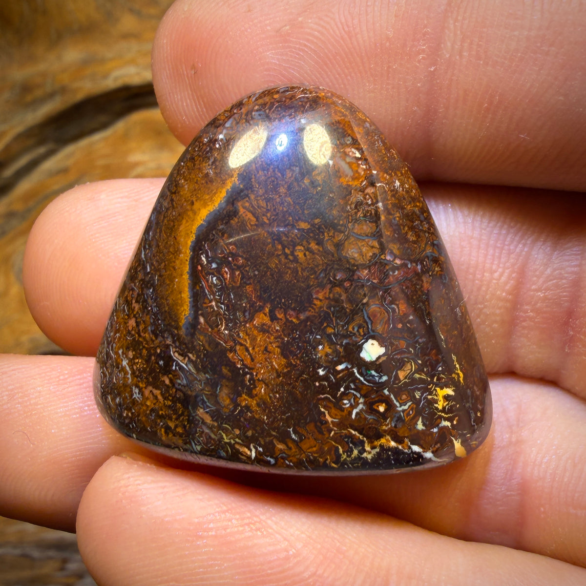 86.2cts - Big Tribal Yowah Nut Opal Specimen Polished
