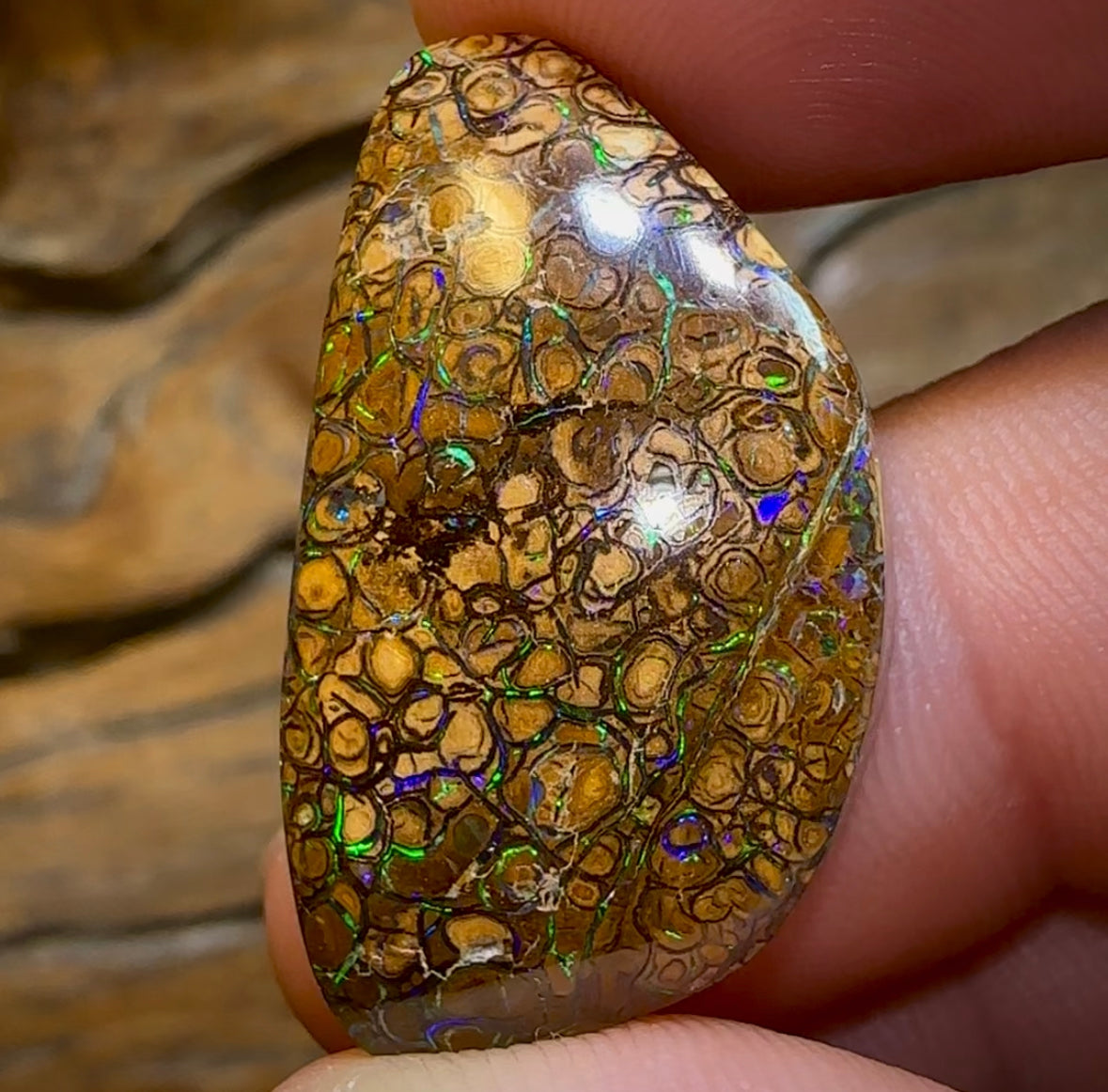 31.4cts - Australian Boulder Opal. Yowah Tribal - Opal Whisperers
