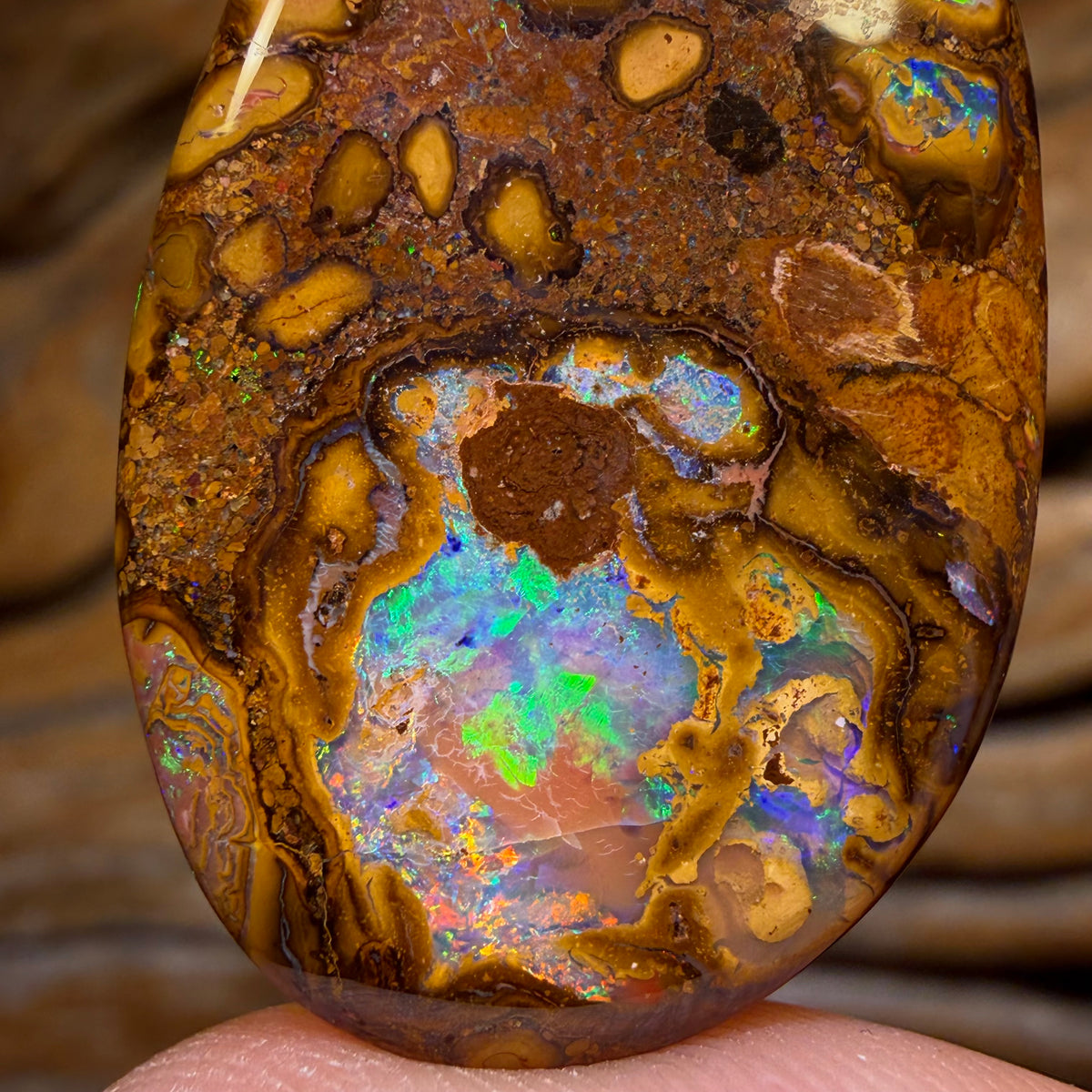 42.2cts -  Yowah Nut Conglomerate Opal. Australian Opal