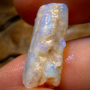 12.6cts - Opalised Belemnite Geological Specimen from South Australia
