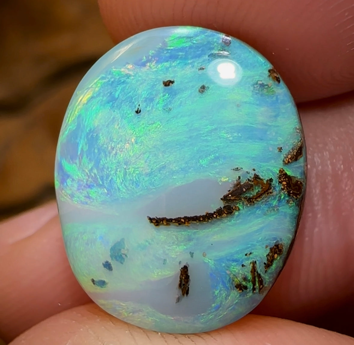 13.5cts - “The Green Planet” Queensland Boulder Opal Picture Stone from Winton - Opal Whisperers