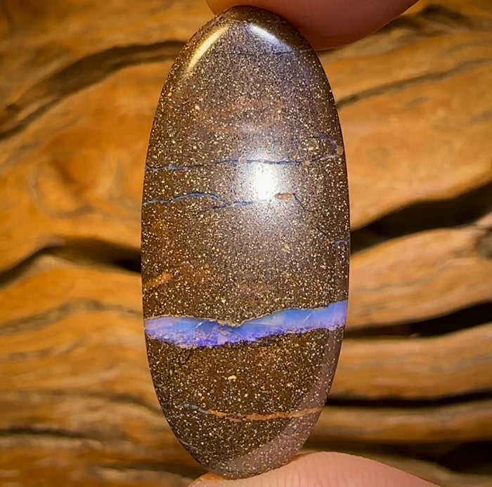 🔨 AUCTION 🔨 No Reserve 30.8cts - Queensland Boulder Seam Opal