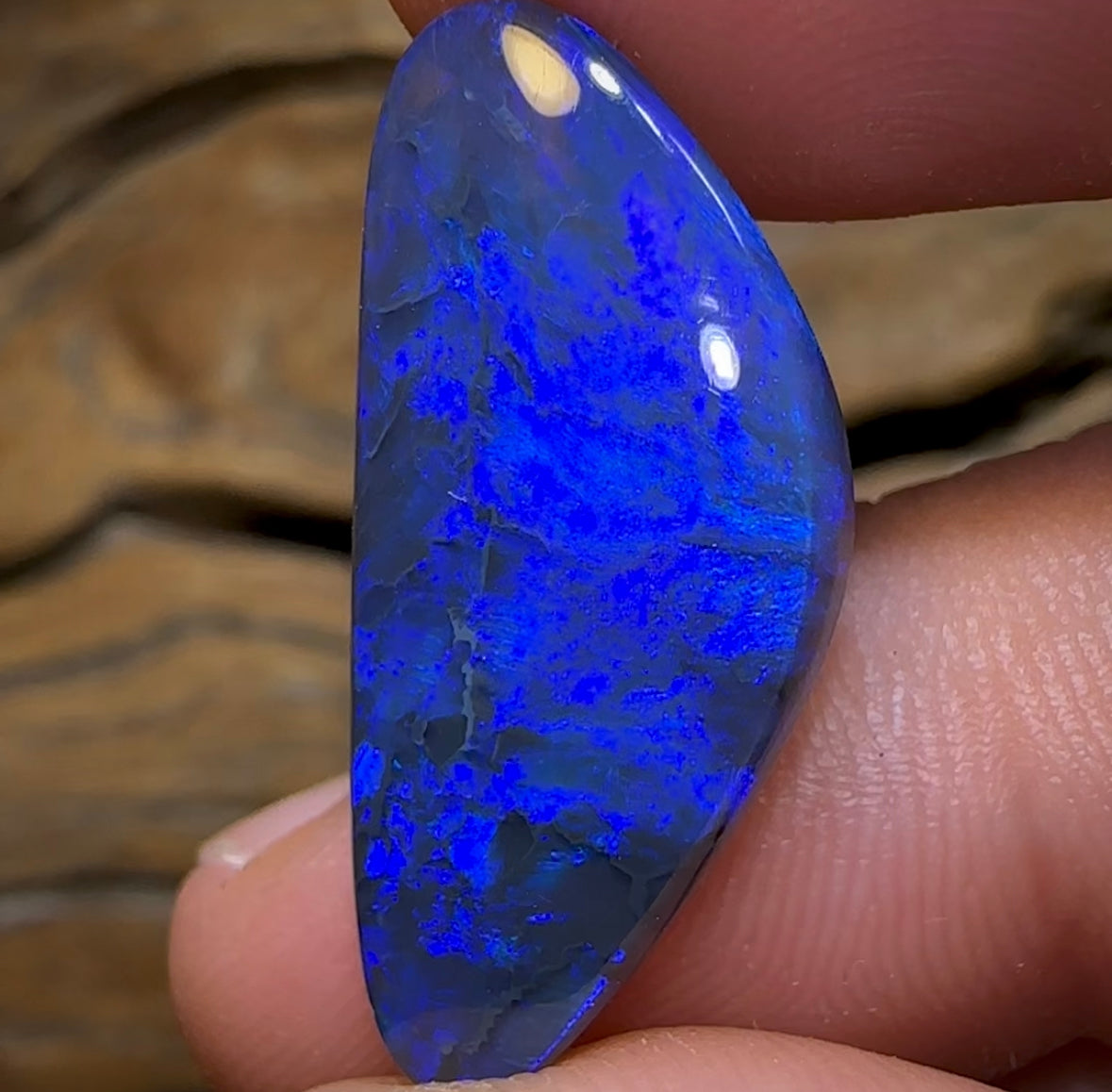12.5cts - Big Australian Black Opal from Lightning Ridge, great value - Opal Whisperers