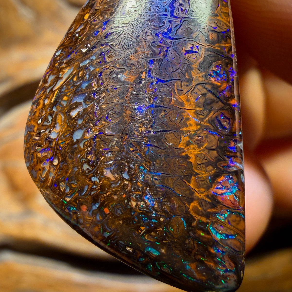 Wildcard! 33 x 19mm - Drilled Tribal Queensland Boulder Opal Necklace