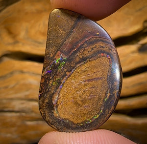 31.4cts - Yowah Nut Opal. Australian Opal