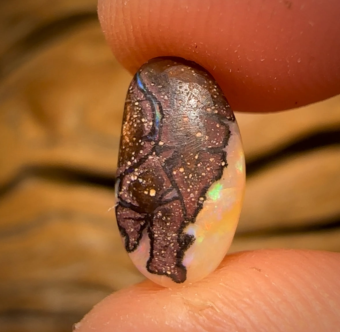 2.1cts - Rare Yowah Nut Crystal Centre Opal