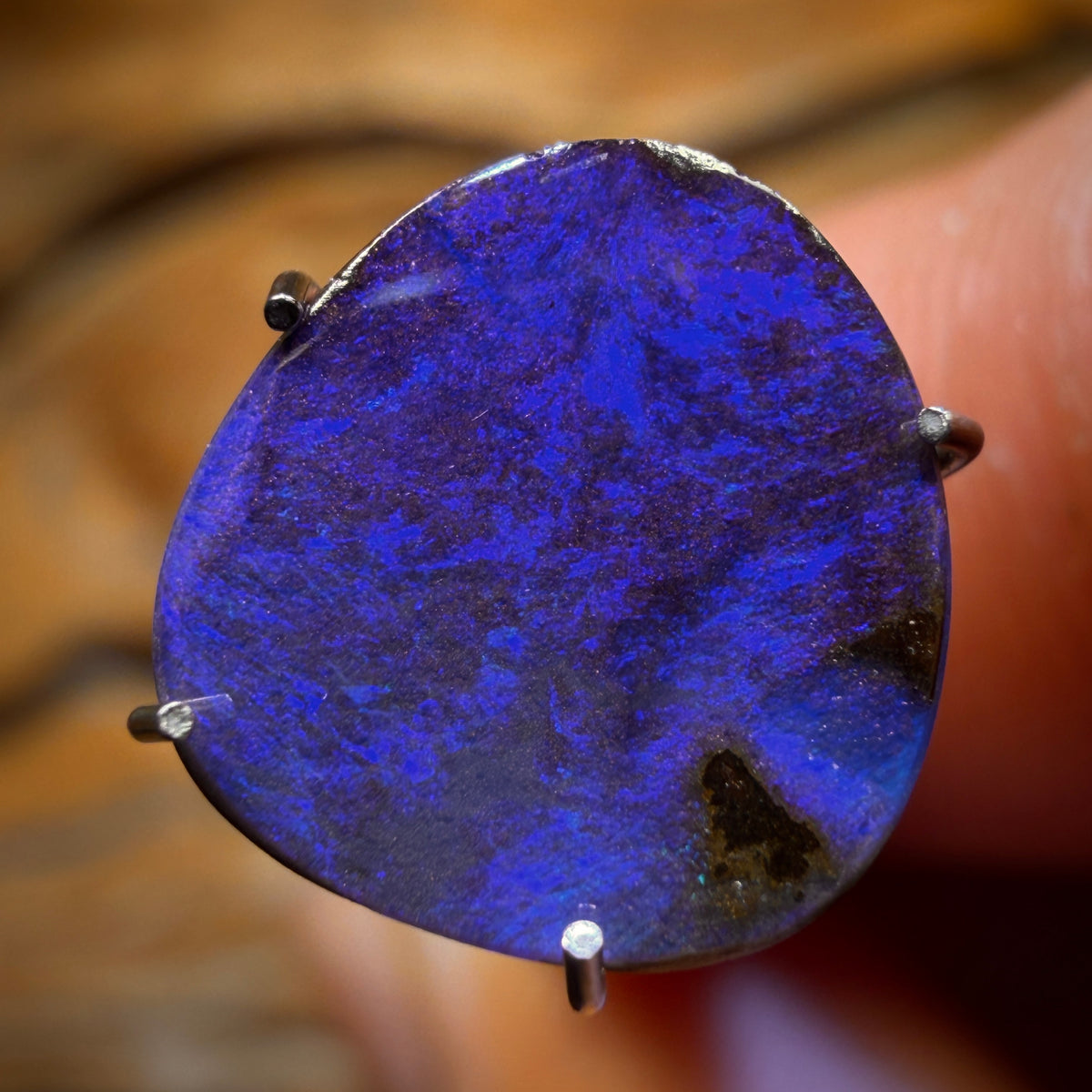 WILDCARD! “Royalty” 2.45cts - Australian Boulder Seam Opal