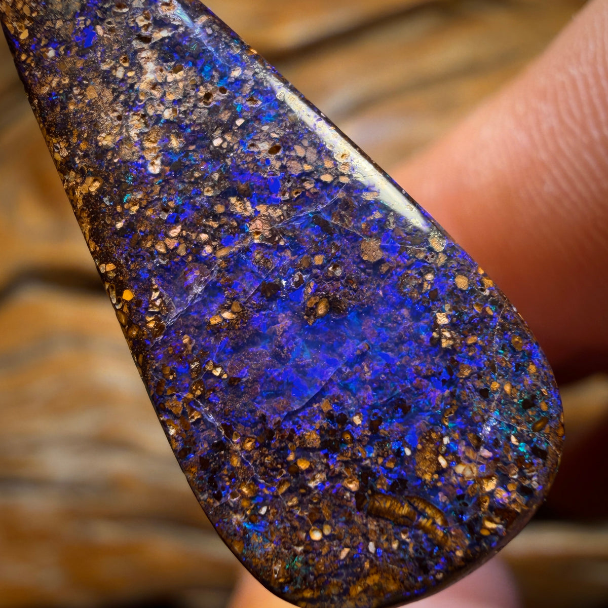 Wild Card! 13.9cts - Queensland Boulder Seam Opal. Australian Opal