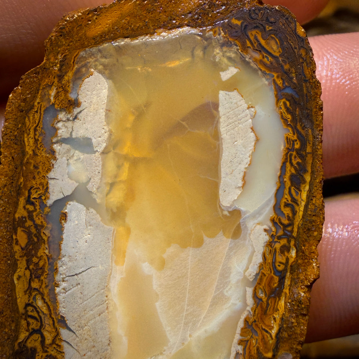 Aren’t you Glad you waited till the End Card! 254.8cts - RARE Yowah Nut Partial Crystal Centre Rough Specimen Pair