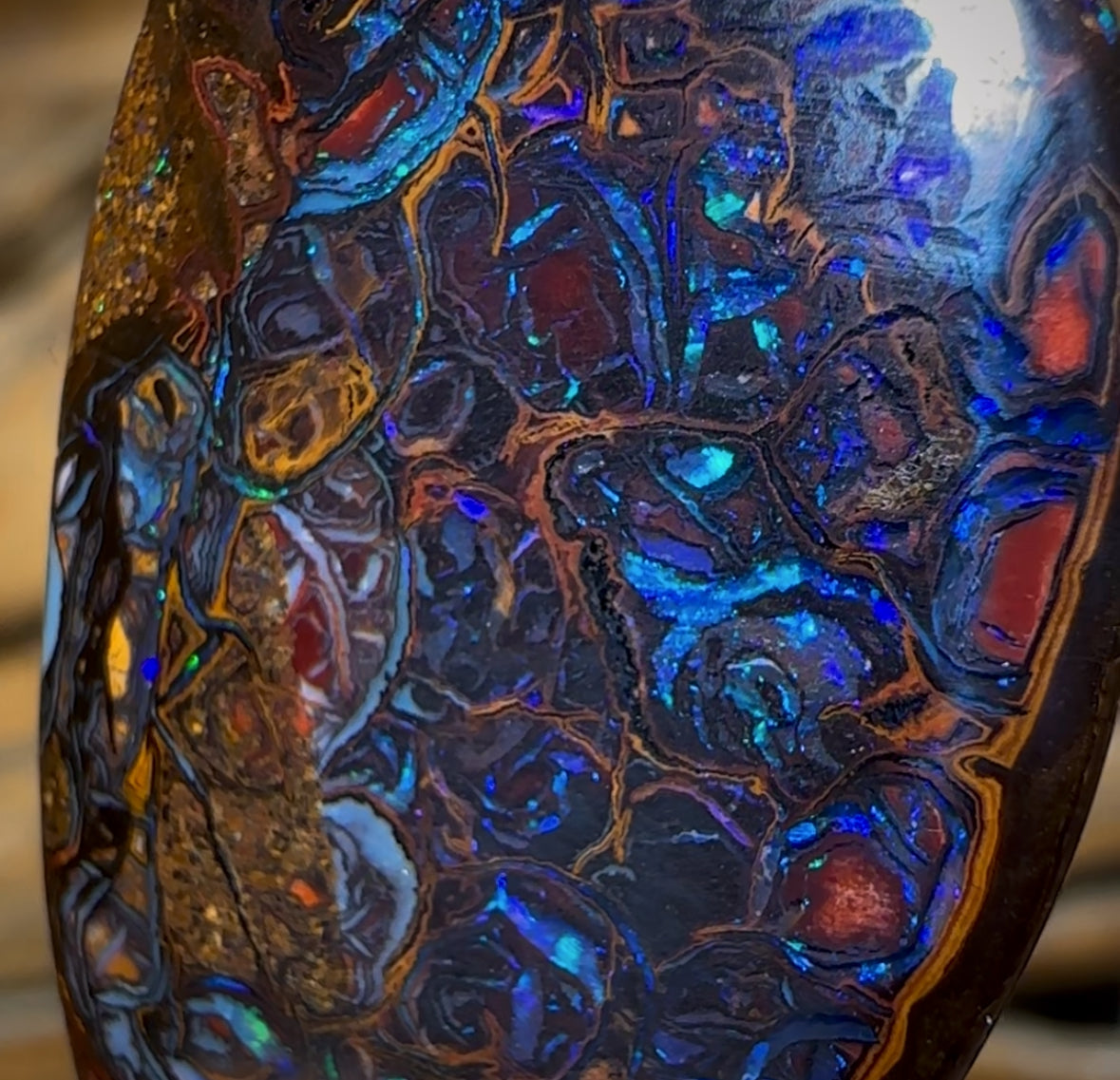 26.3cts - Top Electric Tribal Queensland Boulder Opal from Koroit