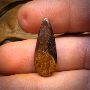 14.5cts - Yowah Nut Crystal Centre Opal. Australian Boulder Opal