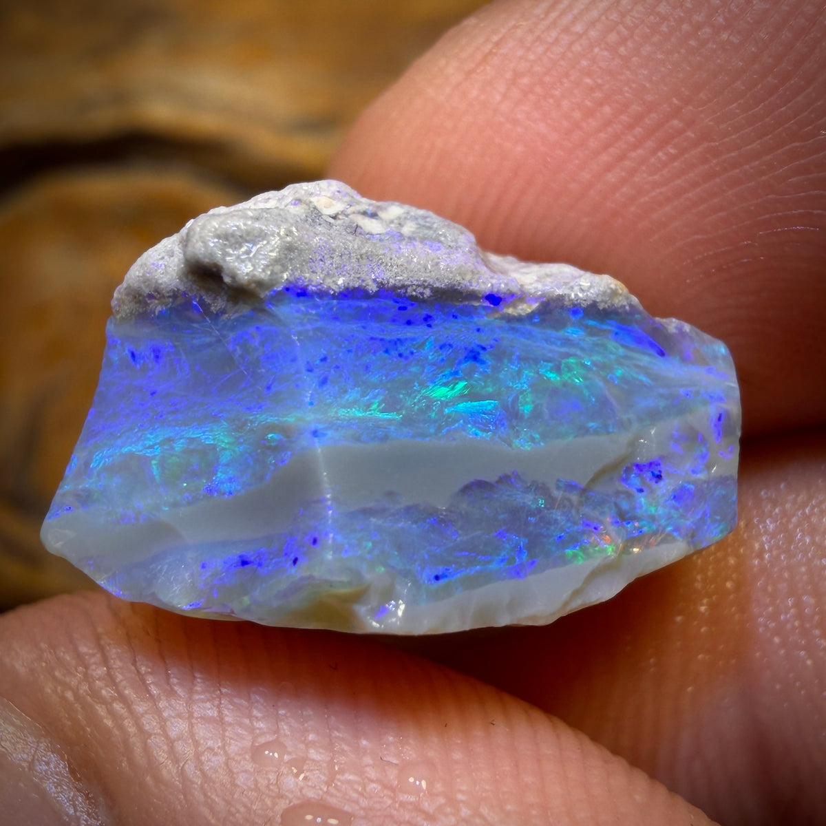 🔨 AUCTION 🔨 19.1cts - Lightning Ridge Opal Rough Piece. Isaac’s Cutter’s!