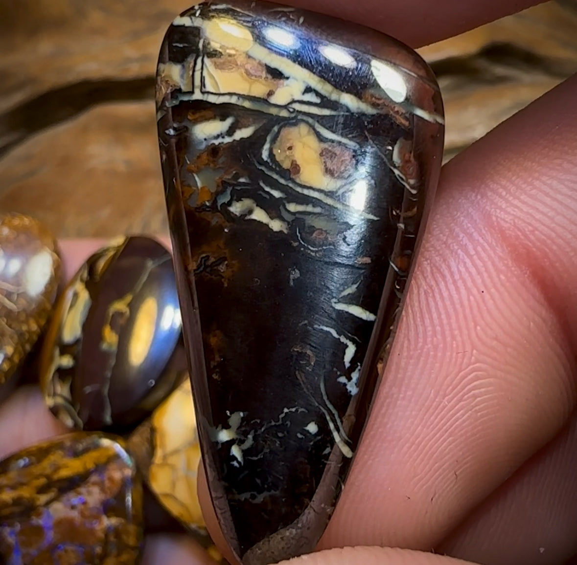 🔒154.9cts - 6x Finished Queensland Boulder Opal Dealers Parcel