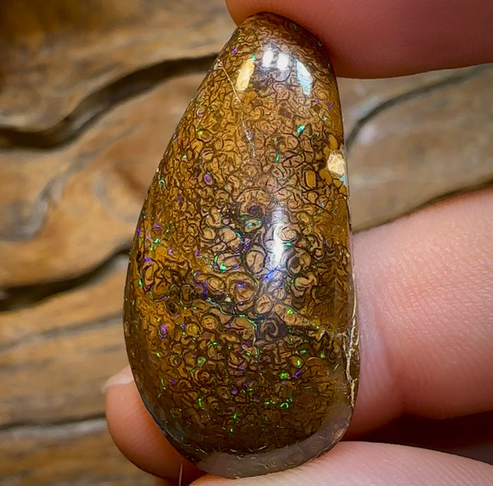 47.8cts - Yowah Nut Tribal Opal - Opal Whisperers