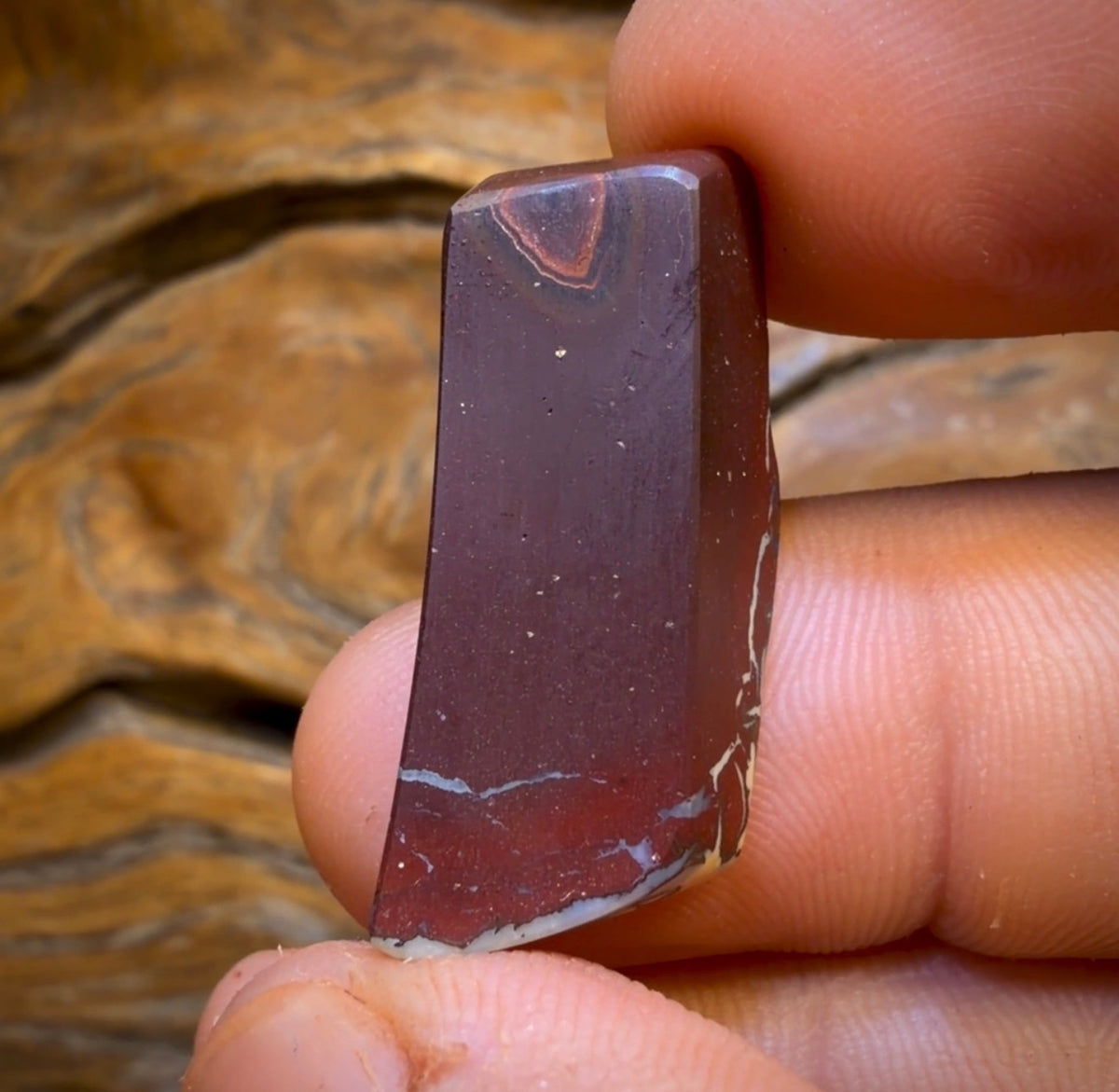 29.9cts - Top Tribal Boulder Opal from Koroit. Electric Green!