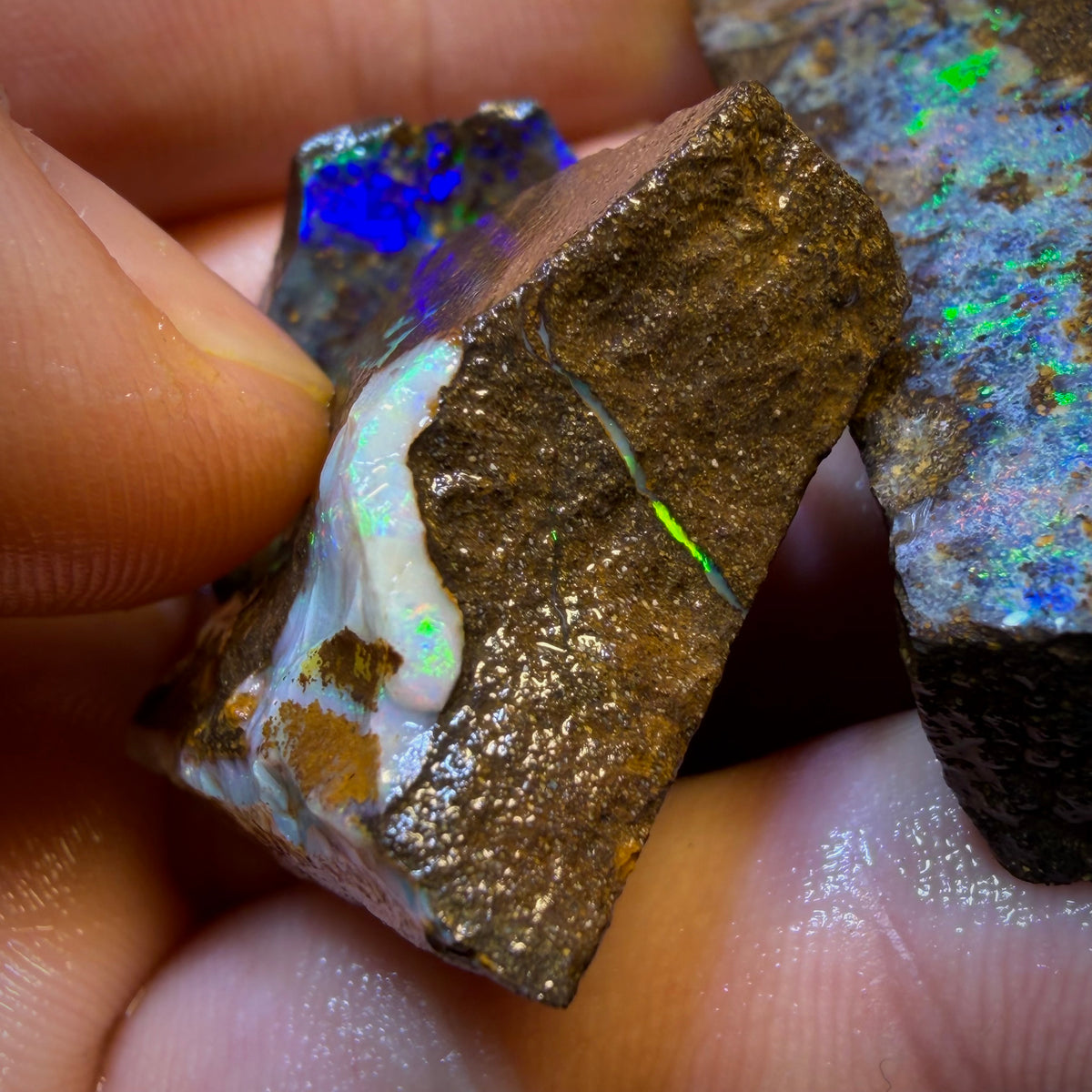 Chasin’ Colour! 187.5cts - 3x Australian Boulder Seam Opal Rough Parcel