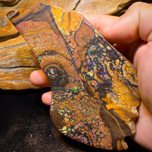 4278cts(Nearly 1 kg) - GIANT Tribal Yowah Nut Opal Pair. Polished Specimens